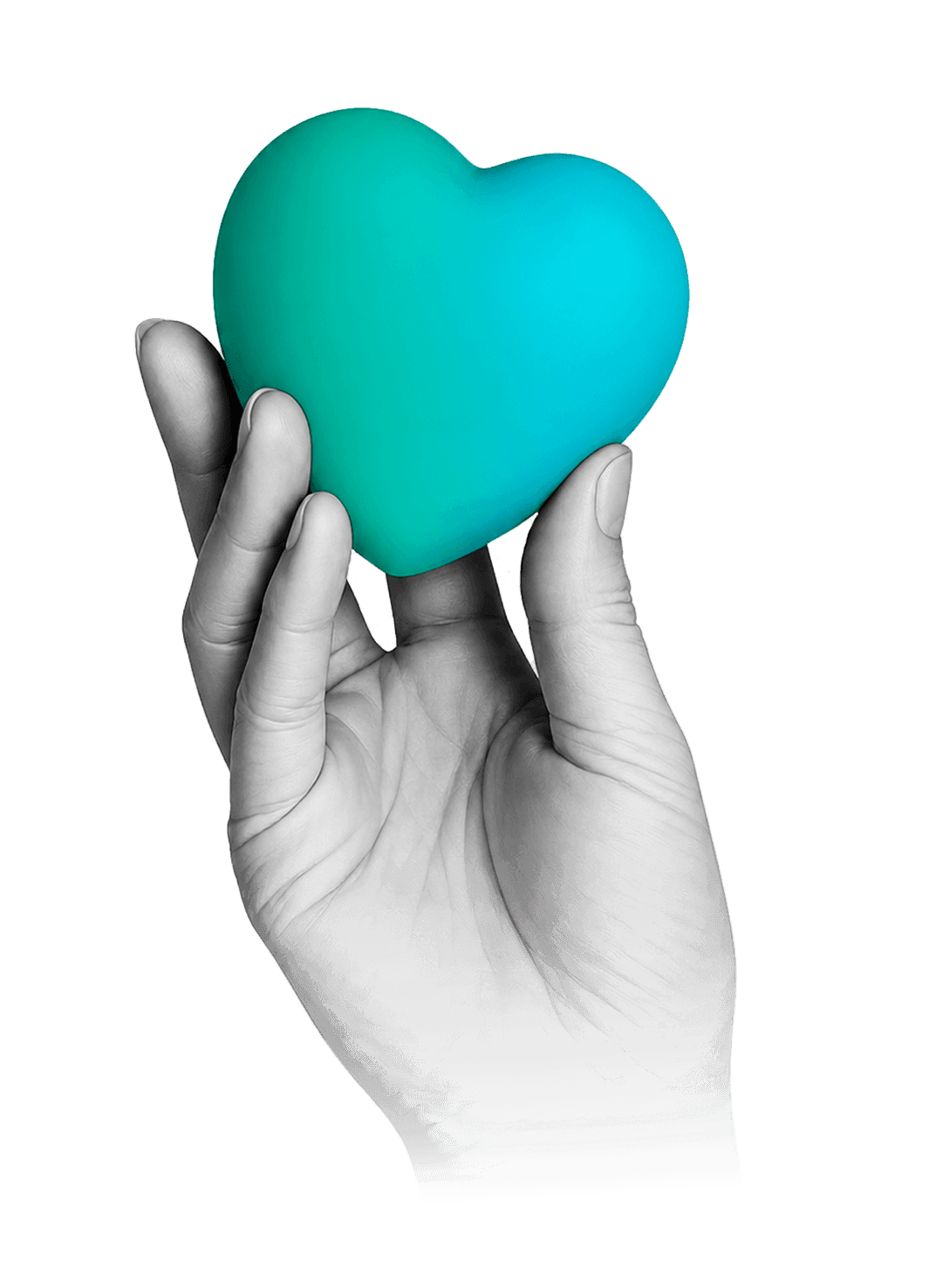 Hand holding a heart, symbolizing Rebirth's care
